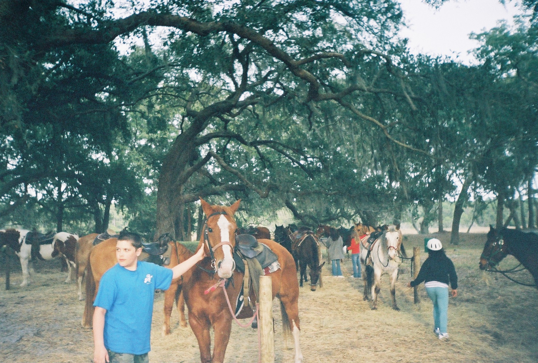 Mike goes horseback riding 2003